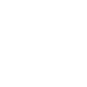 FWG_Icon_Politik-Verwaltungshandeln_weiss-blau-transparent