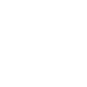 FWG_Icon_Sicherheitsgefühlt_weiss-blau-transparent