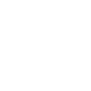 FWG_Icon_Wohnbebauung_2_weiss-blau-transparent
